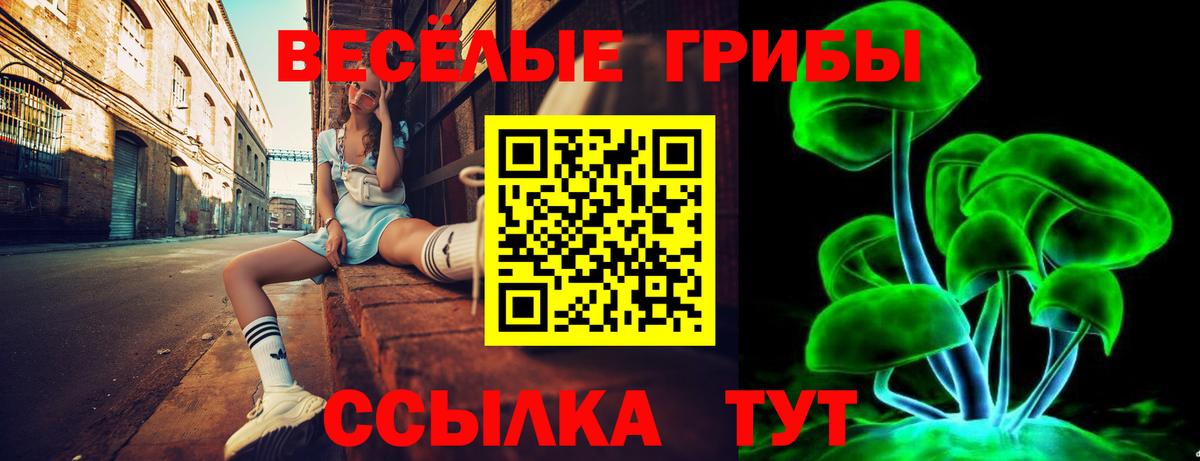 Лесозаводск  Псилоцибиновые грибы прущие грибы  Вход с VPN  Псилоцибиновые грибы Psilocybine cubensis 