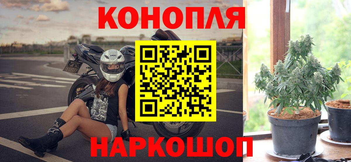 Шишки марихуана план  Бошки марихуана Ganja  Вход с VPN  Каннабис SATIVA & INDICA  Лесозаводск  Каннабис тримм 